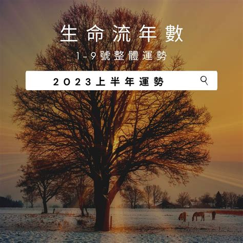 2023生命靈數流年4|2023年生命靈數運勢排行榜–愛情｜財運｜事業｜考試｜健